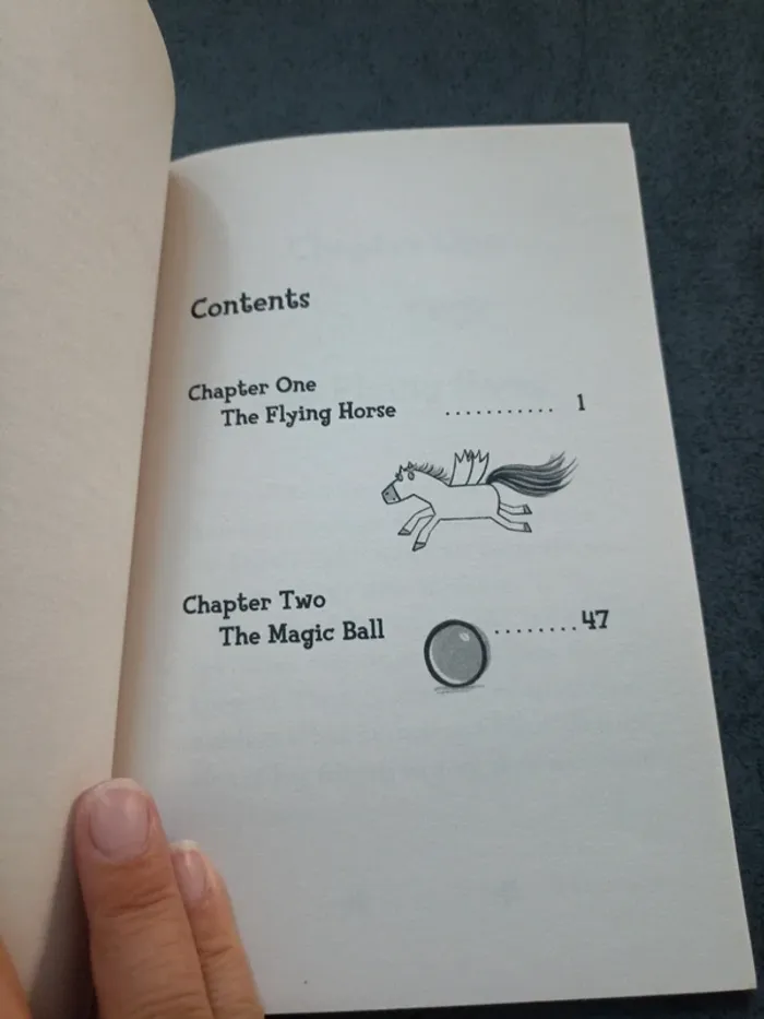 Princess Mirror-Belle and the flying horse - photo numéro 4