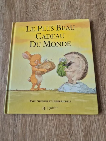 Livre Le plus beau cadeau du monde Paul Stewart