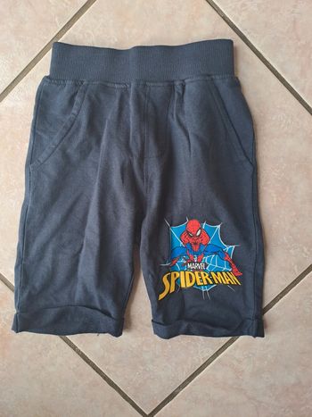 Bermuda spiderman