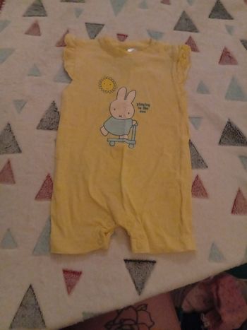 Bodies jaune lapin