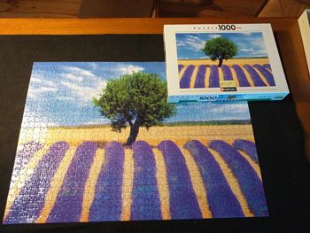 Puzzle 1000 pièces " champs de lavande "