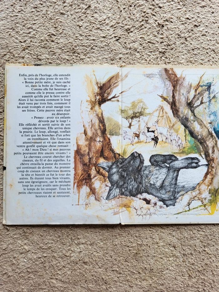 Lot 2 livres vintage enfants – Années 70 – La chèvre et les biquets & Les mémoires d’un âne - photo numéro 17