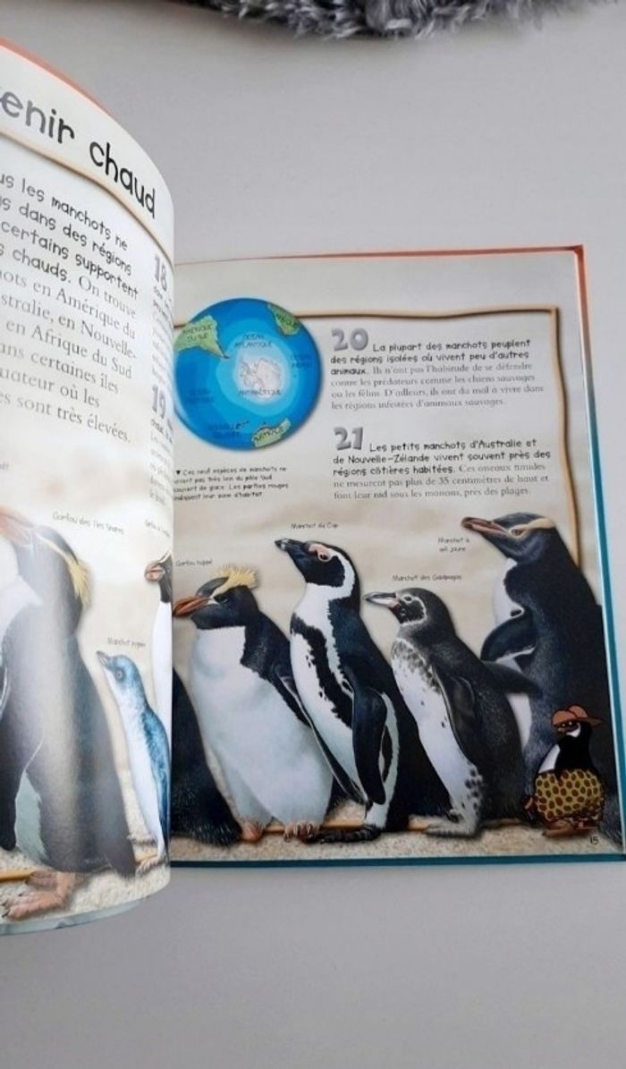 Livre les manchots - photo numéro 2