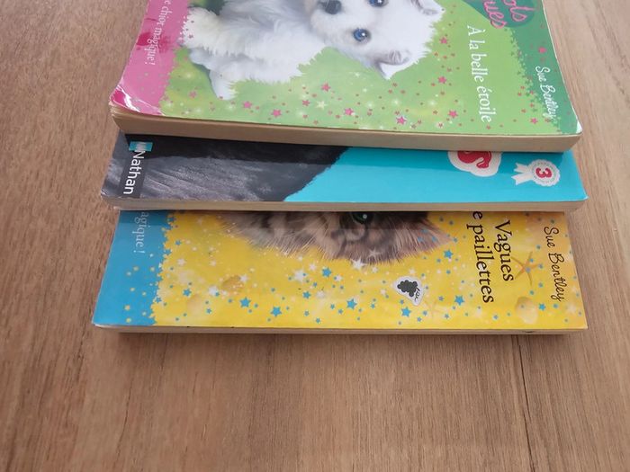 Livre chiots, chatons magiques / poney club enfant - photo numéro 13