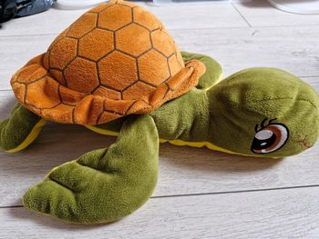 Peluche Tortue