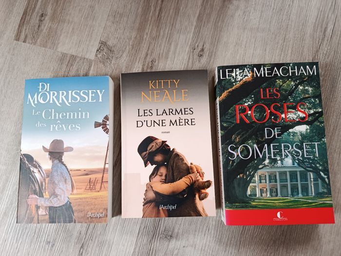 🤩🤩 Lot de romans 🤩🤩 - photo numéro 8