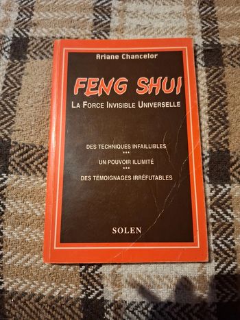 Feng shui. La force invisible universelle