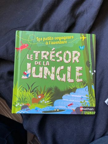 Le trésor de la jungle