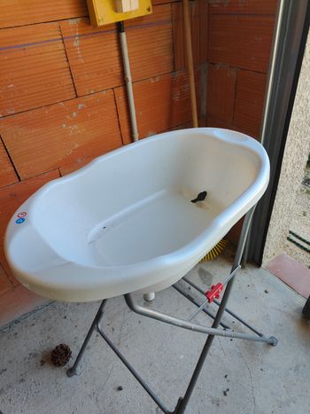 Baignoire sur pieds 