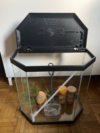 Aquarium poissons ou autres