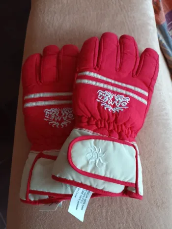 Paire de gants