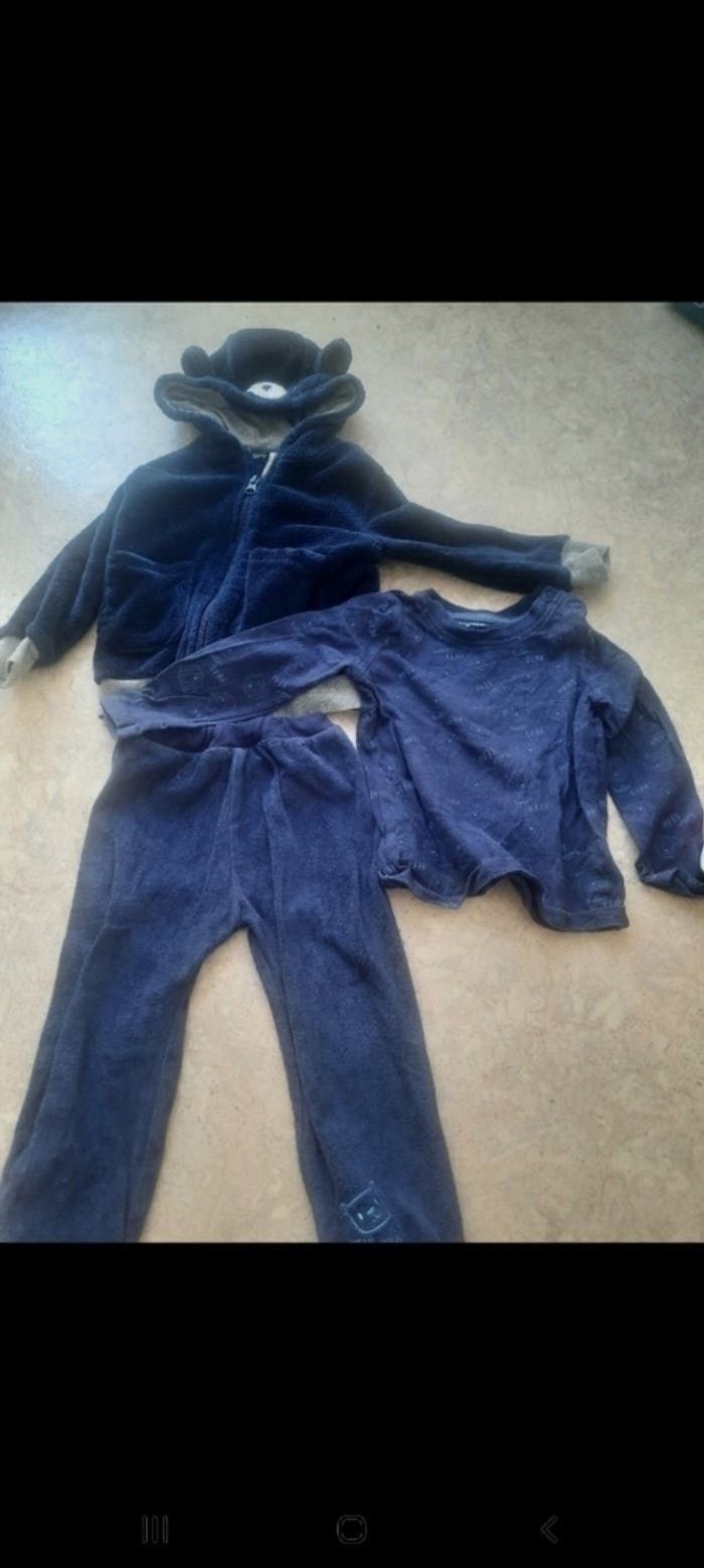 Ensemble lupilu mixte