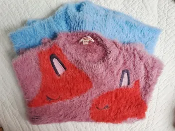 2 pulls chauds DPAM 4 ans