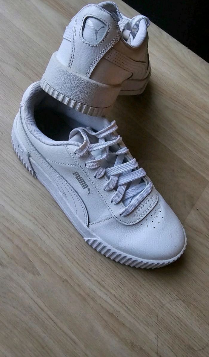 Puma carina - photo numéro 3