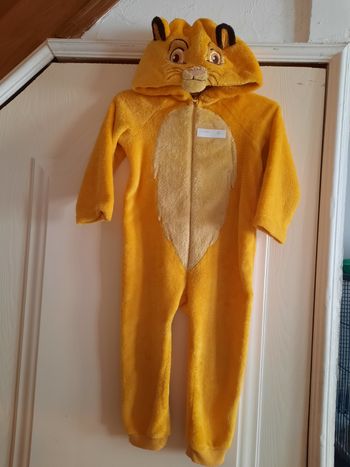 Combinaison pyjama roi lion 