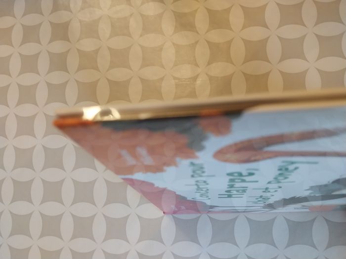 Livre jeunesse neuf – Concerto pour Harpe, Chat et Poney – Hachette En avant la musique - photo numéro 3