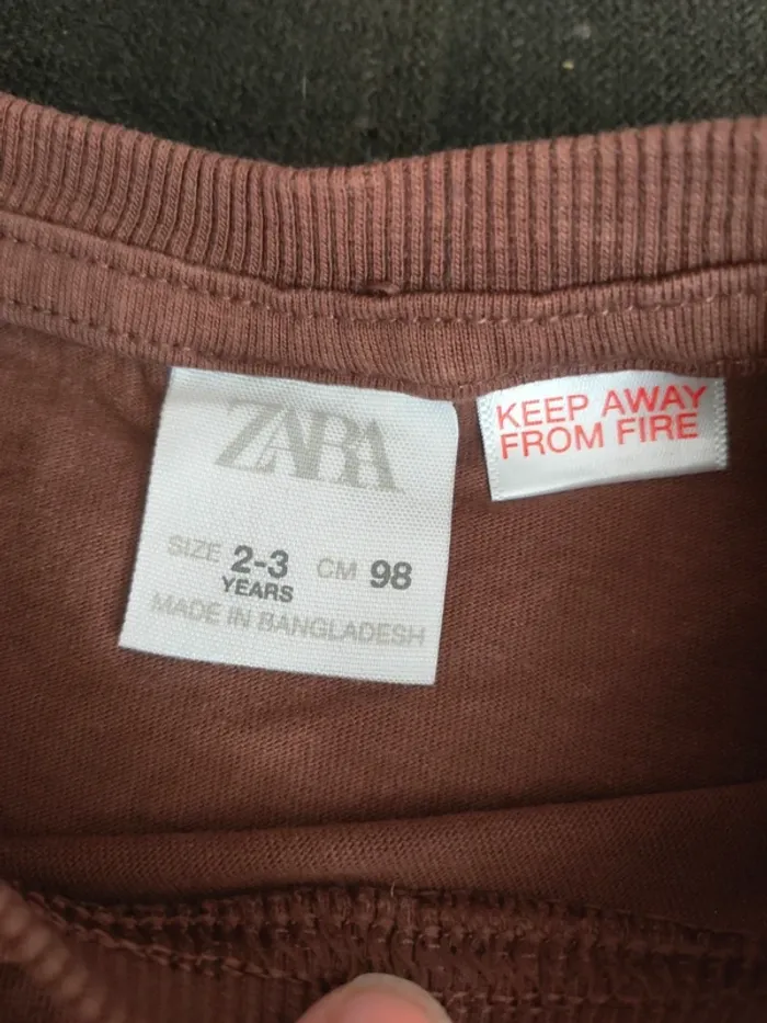T-shirt manches longues garçon 2-3 ans Zara - photo numéro 2