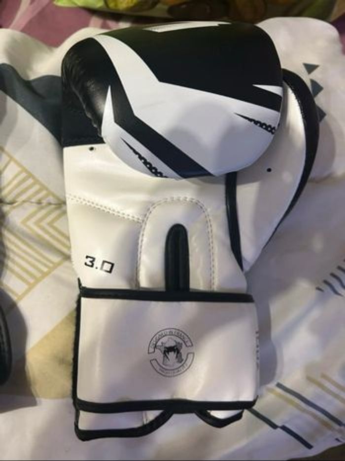 Gant de boxe - photo numéro 3