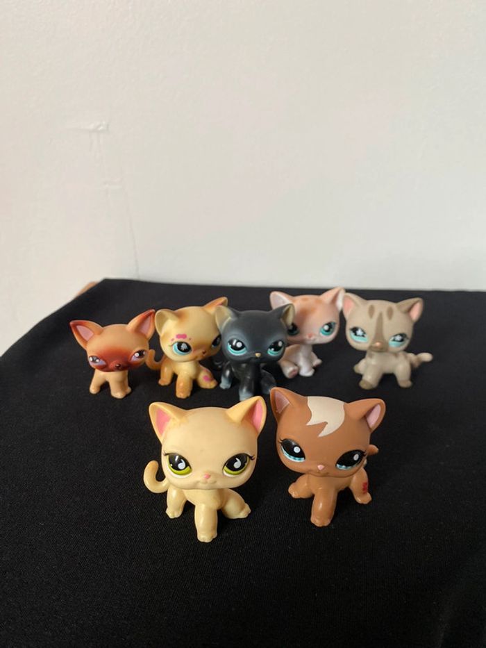 LPS 1170 - photo numéro 8