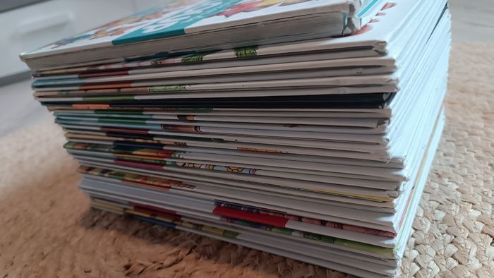Gros lot de 20 BD livres Mini Loup 🐺 - photo numéro 6