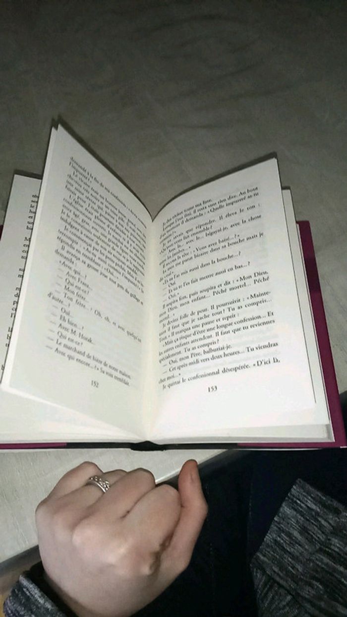 Histoire d'une fille de Vienne - photo numéro 4