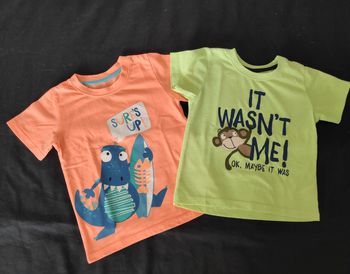 Lot de 2 tee shirt 24/36 mois