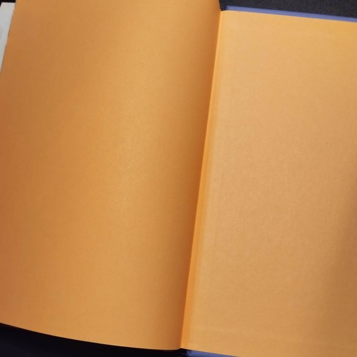 Livre Disney la belle et le clochard - photo numéro 3