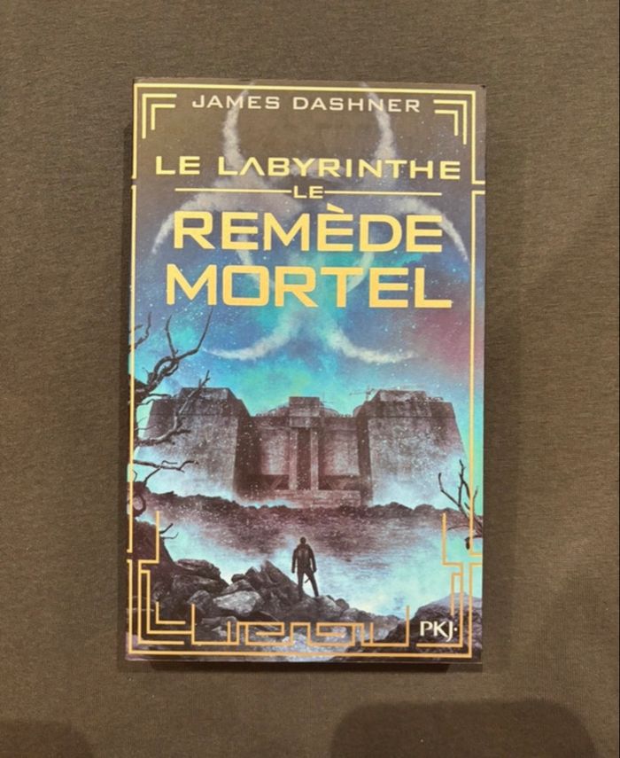 Livres  Le  Labyrinthe - photo numéro 6