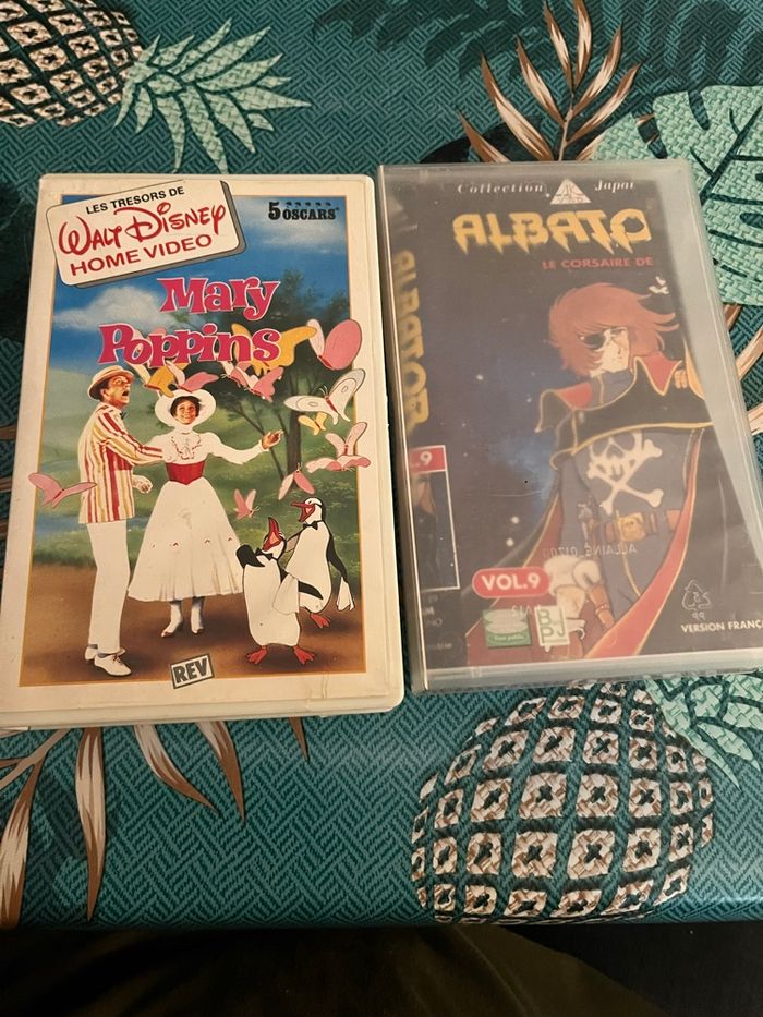 Cassettes vidéo - photo numéro 6