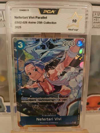 Vivi eb02-026 PCA 10