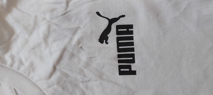 Tshirt manche courte 11/12 ans - photo numéro 5