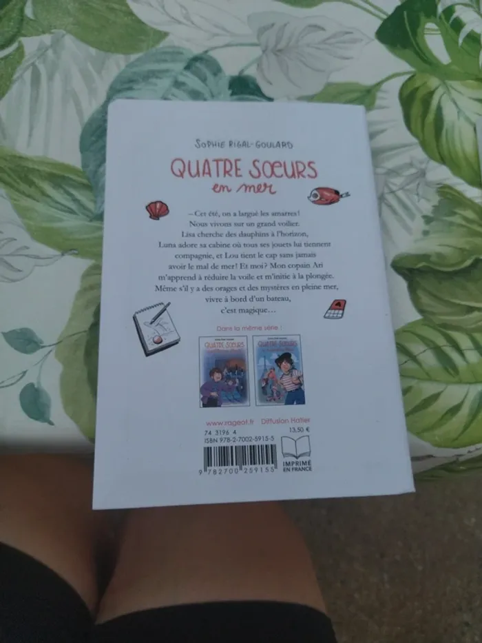 Quatre soeurs en mer - photo numéro 2