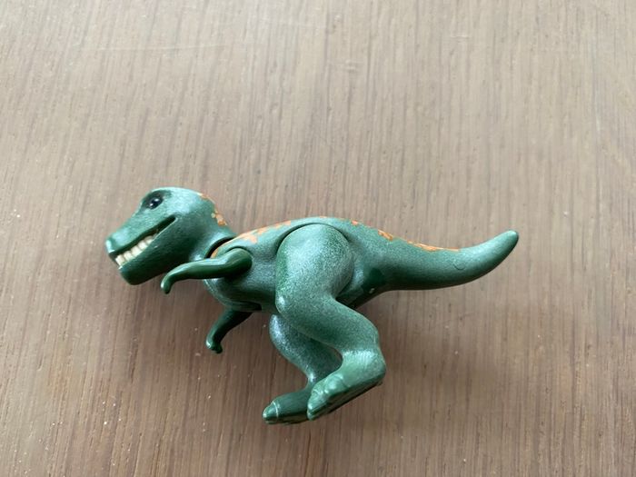 Dinosaures playmobil - photo numéro 5