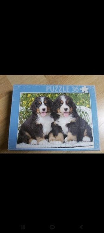 Chiens puzzle
