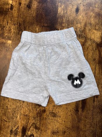 Short Mickey 6m