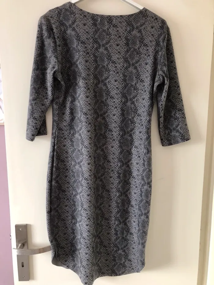 Robe python - photo numéro 4
