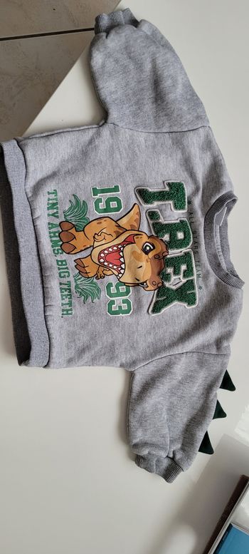 Sweat gris 6m lefties 