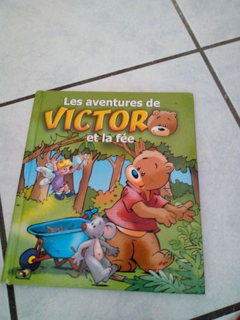 Livre Les aventures de Victor et la fée