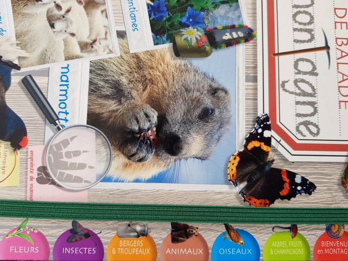 Livre sur la montagne - photo numéro 4