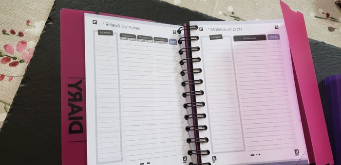 Lot de 2 agendas Diary 2023/2024 - photo numéro 9