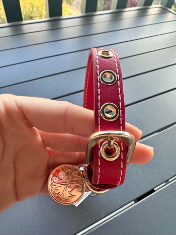 Collier chien cuir rouge Christian Lacroix avec médaille