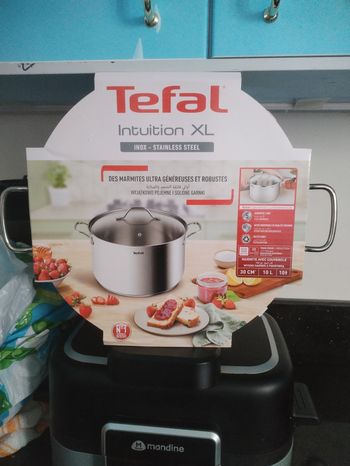 Grand marmite tefal intuition xl inox 