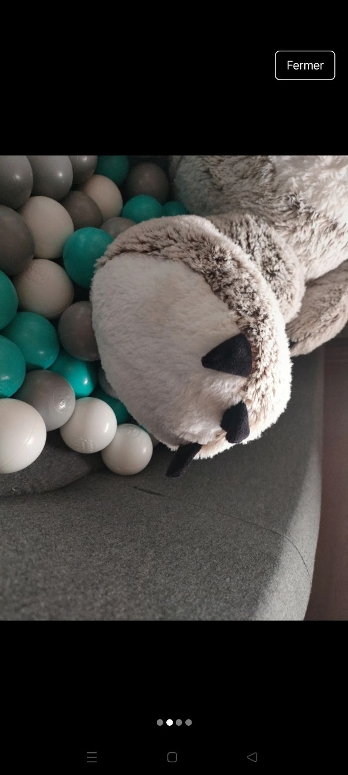 Koala XXL - photo numéro 3