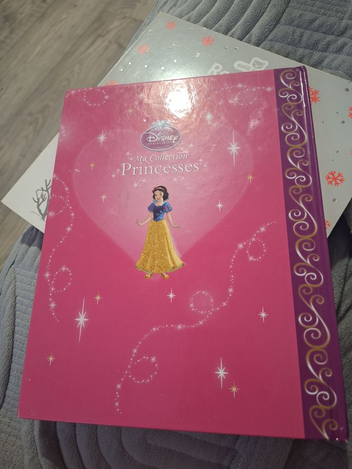 Livre disney - photo numéro 2