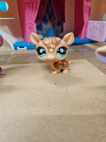 Pet shop rare tatou 1007