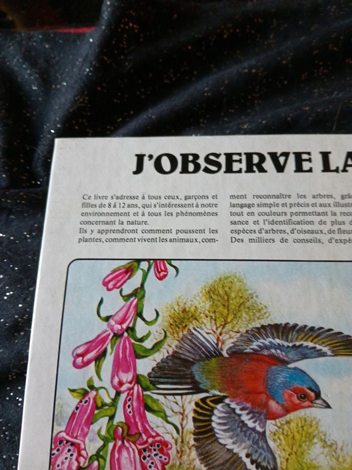 Livre enfants j'observe la nature - photo numéro 3