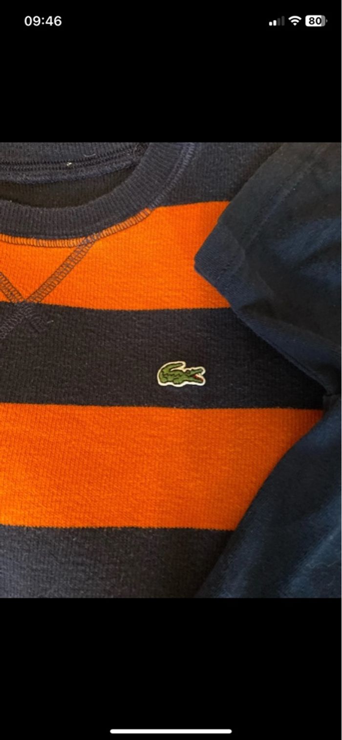 Ensemble Lacoste - photo numéro 5