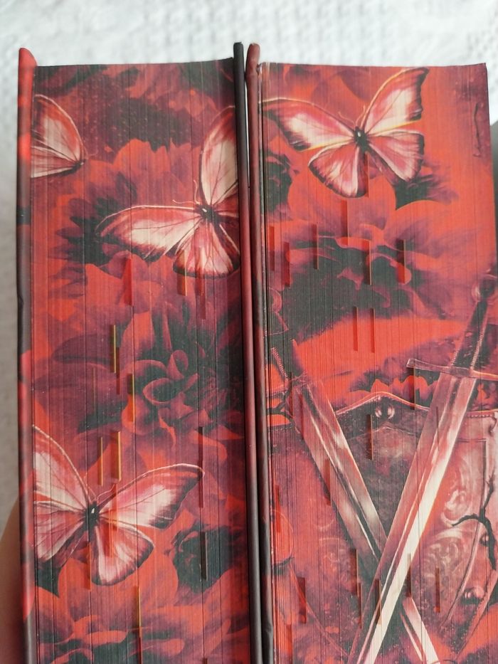 Romans La Guerre des Coeurs Égarés tomes 1 et 2 Les Braises de la guerre reliés collector jaspage Carissa Broadbent - photo numéro 6