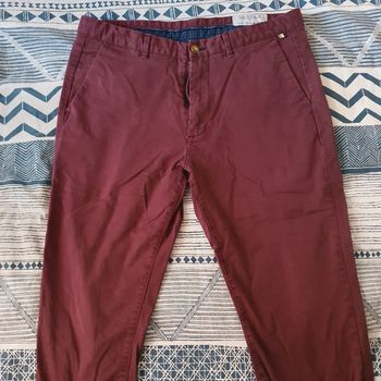 Chinos springfield