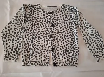 Gilet